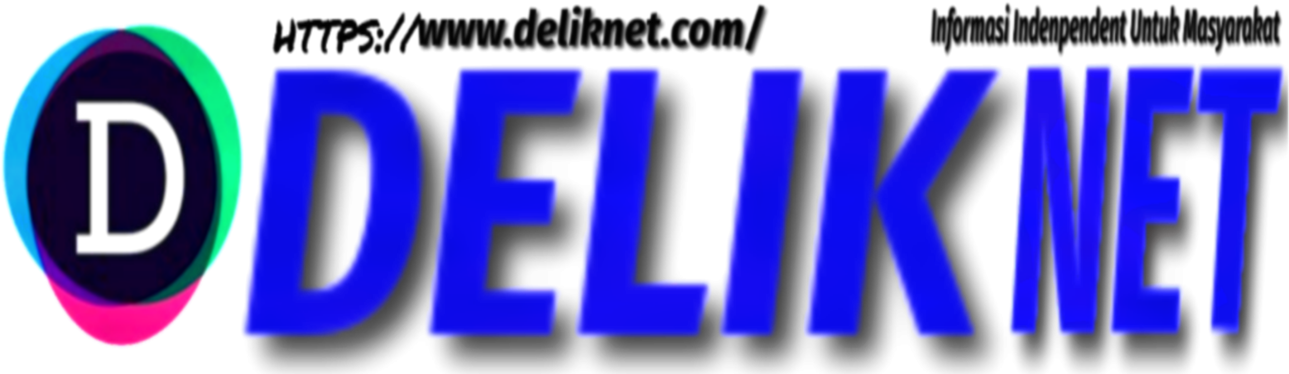 DELIK NET